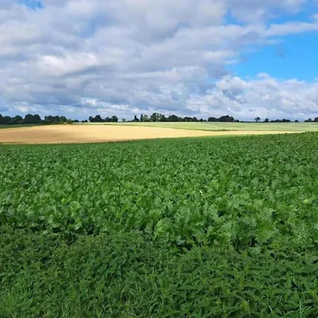 Luxury Lodge With Beach View * Well (Limburg)