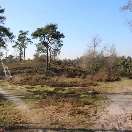 Luxury Lodge With Beach View