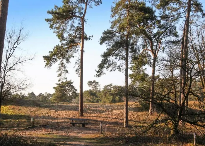 Luxury With View Well (Limburg)