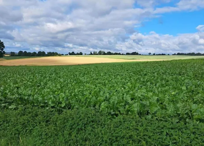 Luxury With View * Well (Limburg)