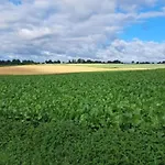 Luxury With View * Well (Limburg)