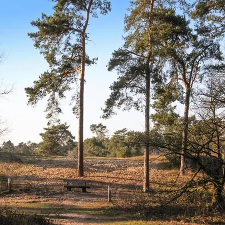 Luxury With View Well (Limburg)